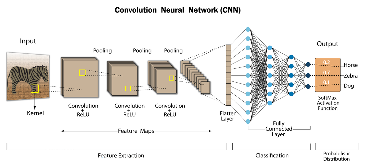 What is Convolutional Neural Network — CNN (images/毕业论文如何编写/1_7_BCJFzekmPXmJQVRdDgwg.png) | by Nafiz  Shahriar | Medium
