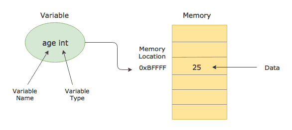 Golang Variables, Zero Values, and Type inference | CalliCoder