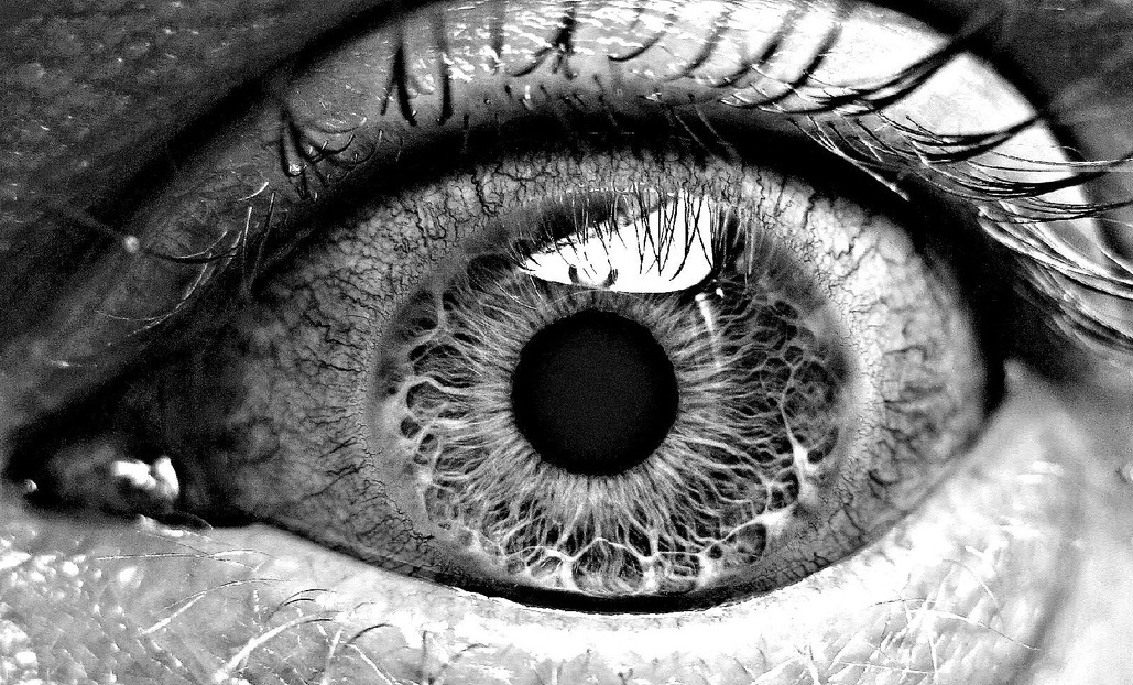 eye | eyesOfOdysseus
